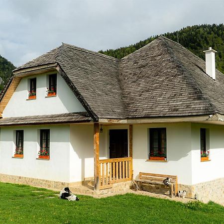 Pensiunea Hodaita Măgura Dış mekan fotoğraf