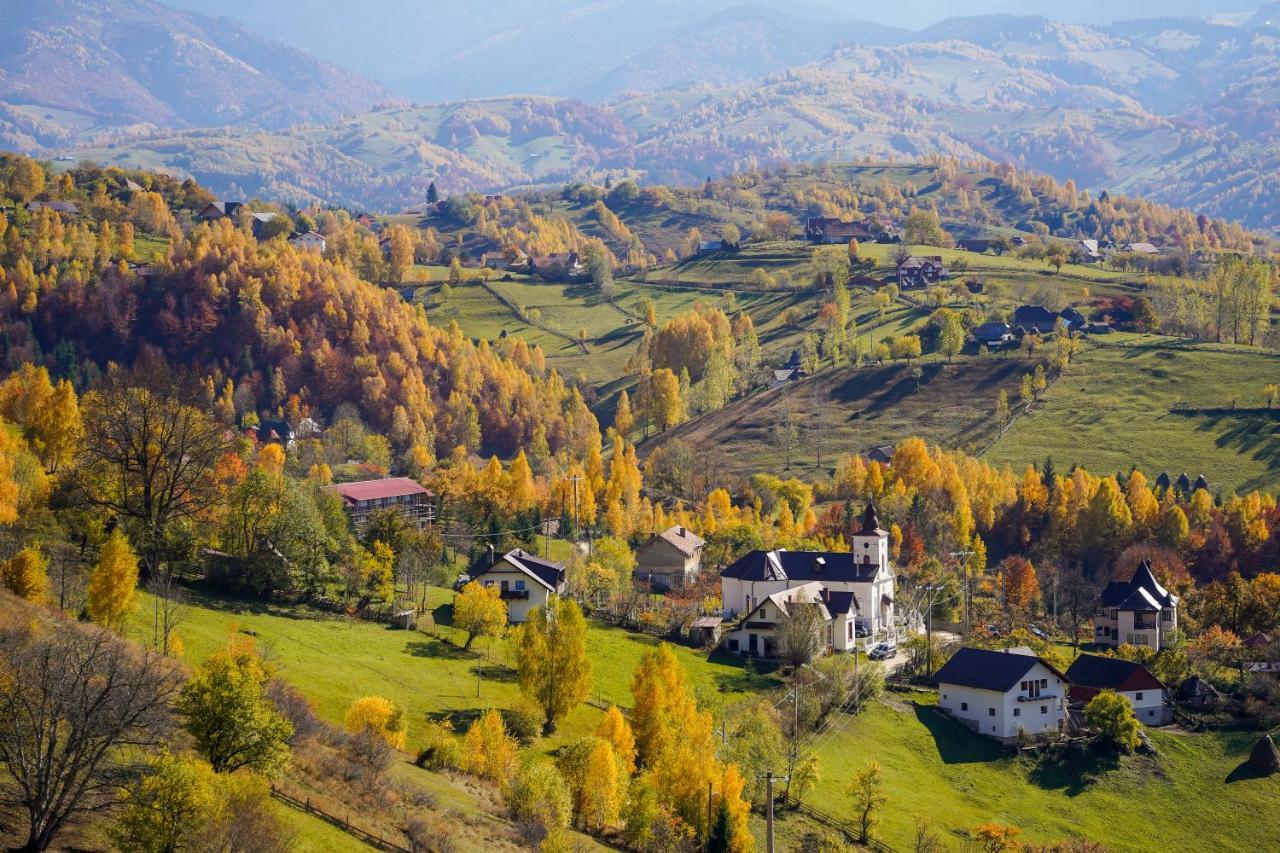 Pensiunea Hodaita Măgura Dış mekan fotoğraf