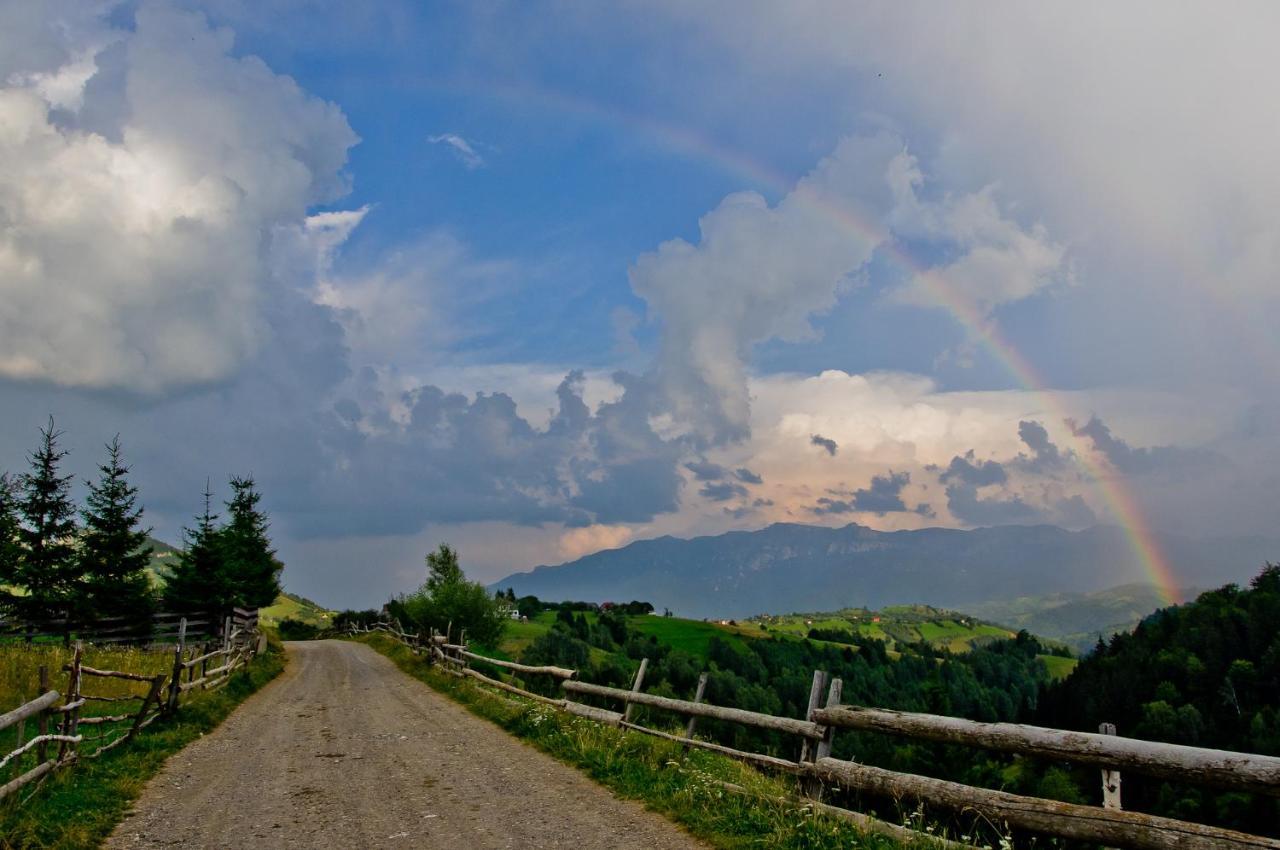 Pensiunea Hodaita Măgura Dış mekan fotoğraf