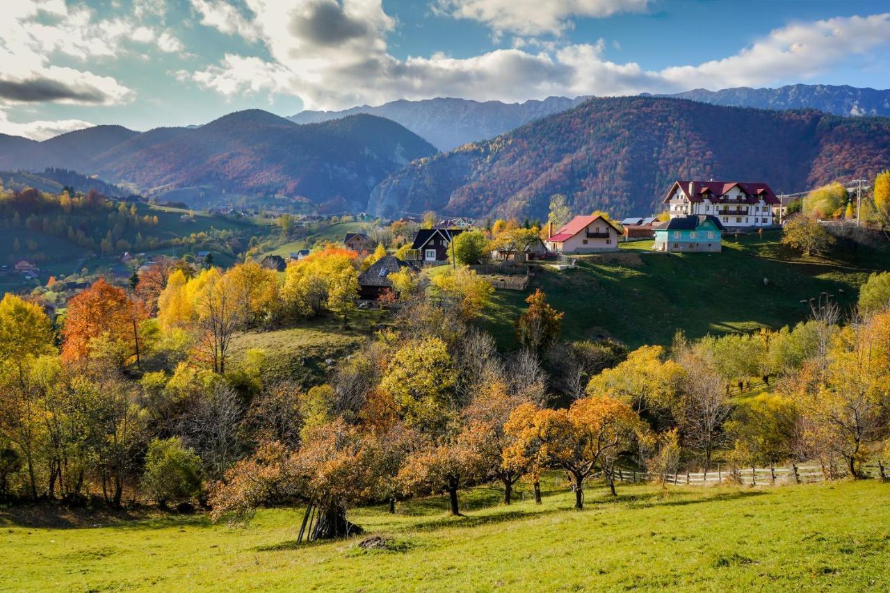 Pensiunea Hodaita Măgura Dış mekan fotoğraf