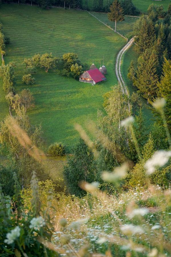 Pensiunea Hodaita Măgura Dış mekan fotoğraf